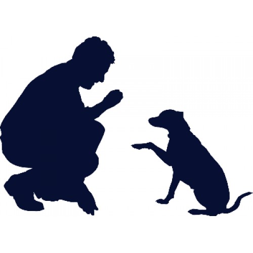 Martin ROBERT éducateur canin à Cahors, vente de croquettes Chien et Chat super premium à prix réduits...
