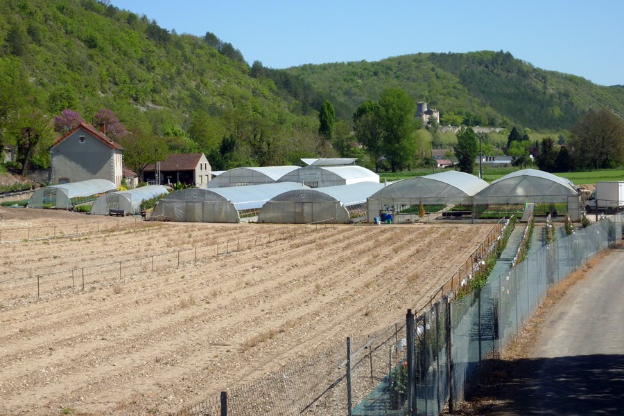 Jardinerie HORTISYL Cahors, fleuriste, jardinerie, fleurs et bouquets à Cahors